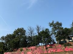 -西安曲江寒窑遗址公园