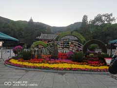 -海拉尔碳烤羊腿烤鸽子(吕营店)