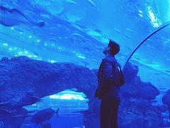 -成都浩海立方海洋公园