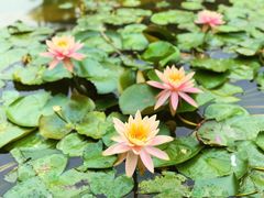 景点-广州珠江公园