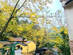 -藏龙百瀑风景区