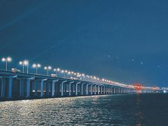 -宝安西湾红树林湿地公园