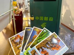 -巴音郭楞蒙古自治州博物馆