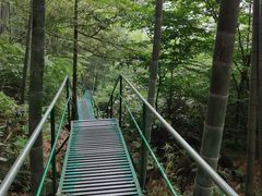 -藏龙百瀑风景区