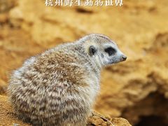 -杭州野生动物世界