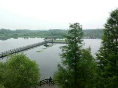 -溱湖国家湿地公园