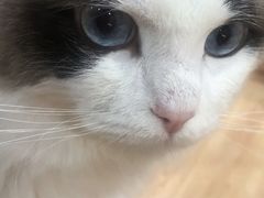 -白兔子密室(长寿路店)