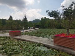 -白马涧龙池景区