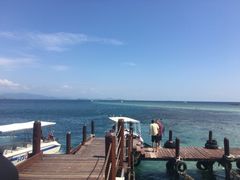 -东姑阿都拉曼海洋公园