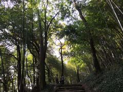 -西湖风景区十里琅珰-五云山