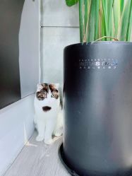 -塞巴斯汀SEBASTIAN专业美发店