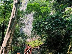 -雁荡山三折瀑景区