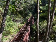 -天女山森林公园