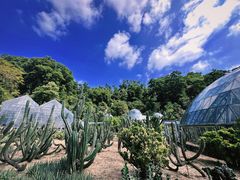 -深圳仙湖植物园