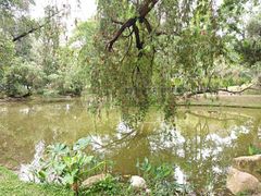 -人民公园(罗湖区)