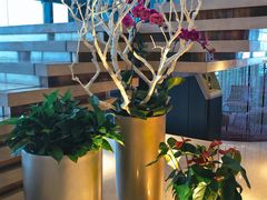 -上海龙之梦万丽酒店