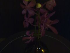 兰花-北京国贸大酒店