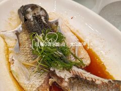 -新成海港大酒楼(康华路店)