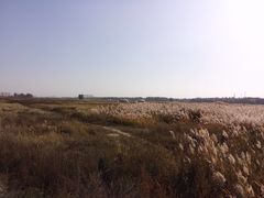 -赛汗塔拉风情园