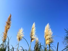 -贵阳市花溪国家城市湿地公园