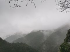 -千岛湖石林