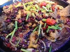 -老板恋上鱼(恒隆广场店)