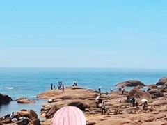 -燕儿岛山公园