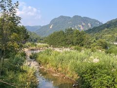 -四川省成都市彭州市白鹿镇