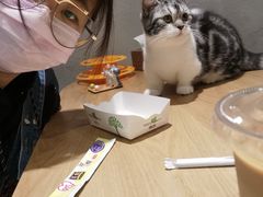 -藏猫猫咖啡主题馆(中央大道店)
