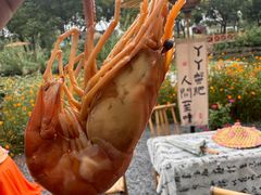 -丫丫蟹庄·苏式园林农家乐·阳澄湖大闸蟹(阳澄湖莲花岛店)