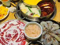 -青瓷火锅料理(西单大悦城店)