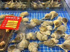 -驻海渔市(置信店)