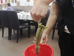 -凤城礼记鱼翅海鲜酒家(新马路总店)