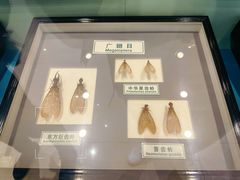 -上海昆虫博物馆