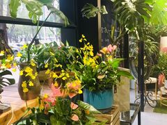 -弗劳尔花艺坊(龙涛店)