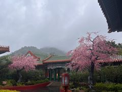 -珠海圆明新园
