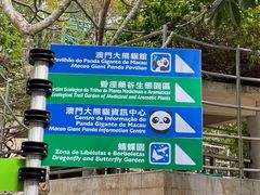 -石排湾郊野公园