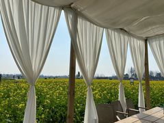 -中国天府农业博览园