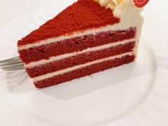 红丝绒-双风车咖啡馆 Twin Windmills(六道口店)