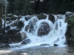 -牛背梁国家森林公园