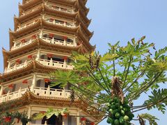 -象头山国家级自然保护区