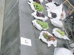 -美家乐农庄·露营·团建(大治路店)