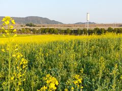 -光明小镇欢乐田园