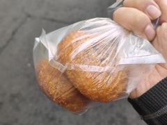 -红专尹胖子油炸糕