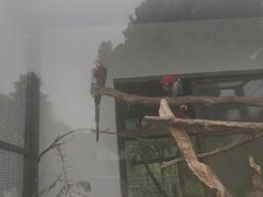 -上方山森林动物世界