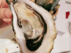 法国空运生蚝-福楼法餐厅FLO