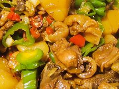 -俭寨大盘鸡·手抓肉·烧烤新疆菜(乌苏路店)