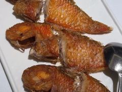 -金成潮菜博物馆(海珠湿地店)