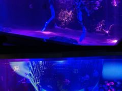 -顺德南宏海立方海洋公园