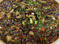 来凤鱼-瓦房兔(璧山店)